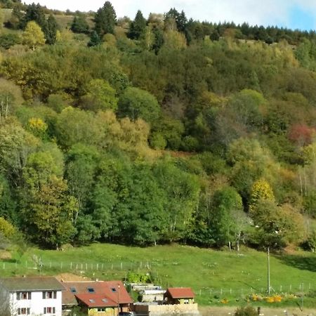 Les Lupins Bed & Breakfast Geishouse Bagian luar foto