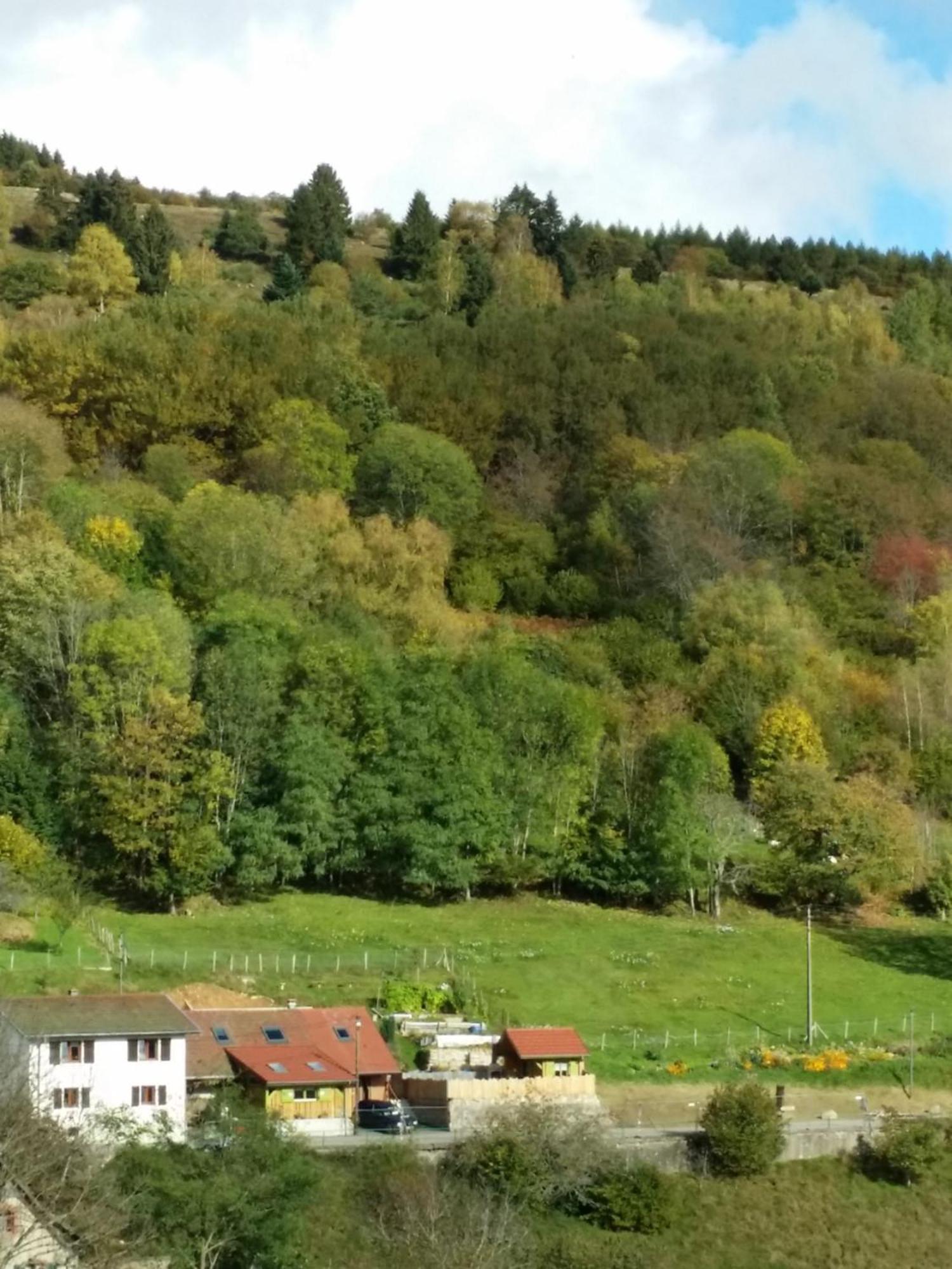 Les Lupins Bed & Breakfast Geishouse Bagian luar foto